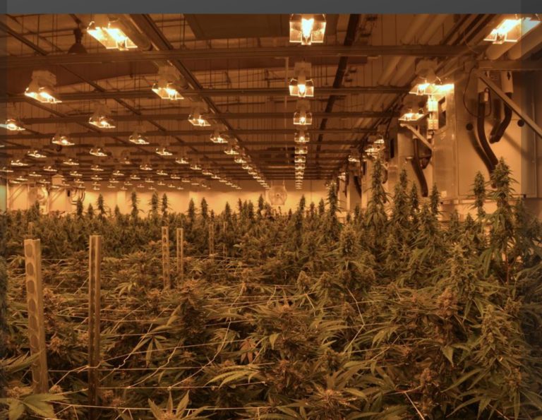AltMed MUV dispensary and growhouse_Inside Warehouse_Apollo Beach_FL