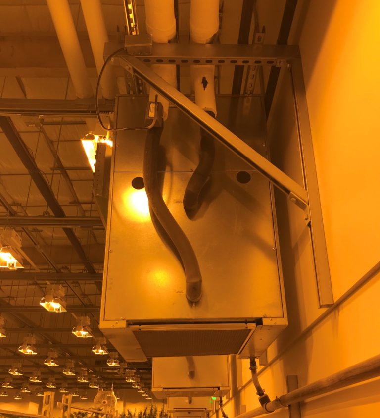 AltMed MUV dispensary and growhouse_SV_Inside Warehouse_Apollo Beach_FL_AKA Plants of Ruskin