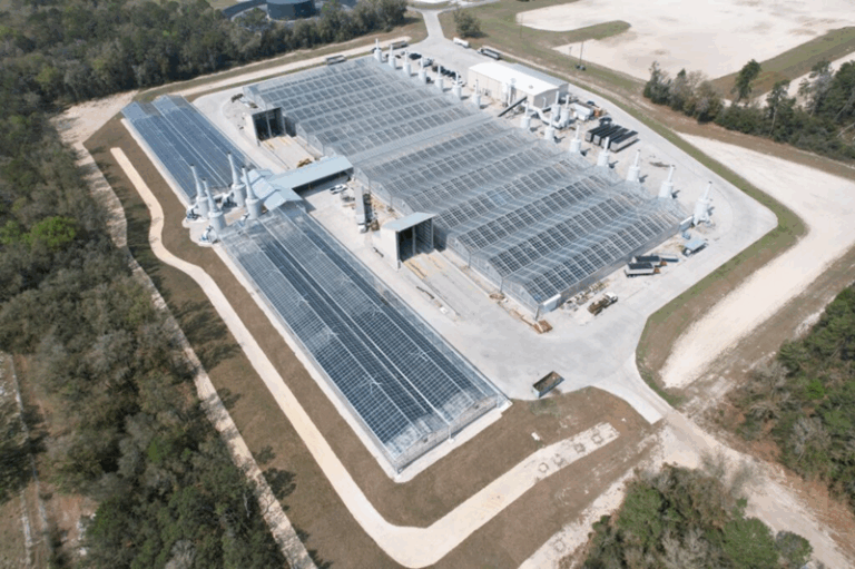 Pelletizing - Florida Green