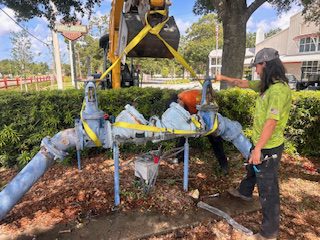 Harley Davidson NPR (1)