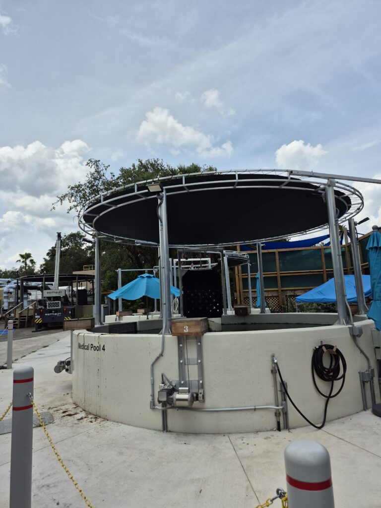 ZooTampa 3